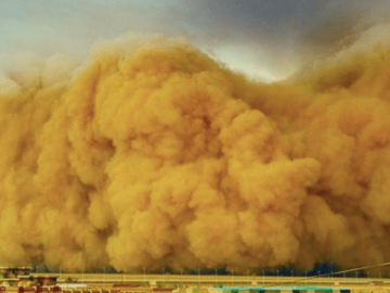 Visuel - Les Tempêtes